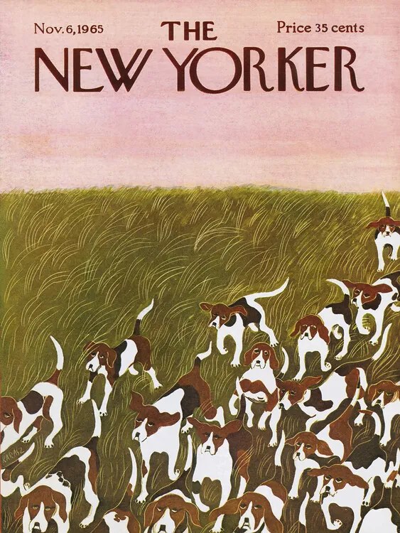 Ilustrație The NY Magazine Cover 556