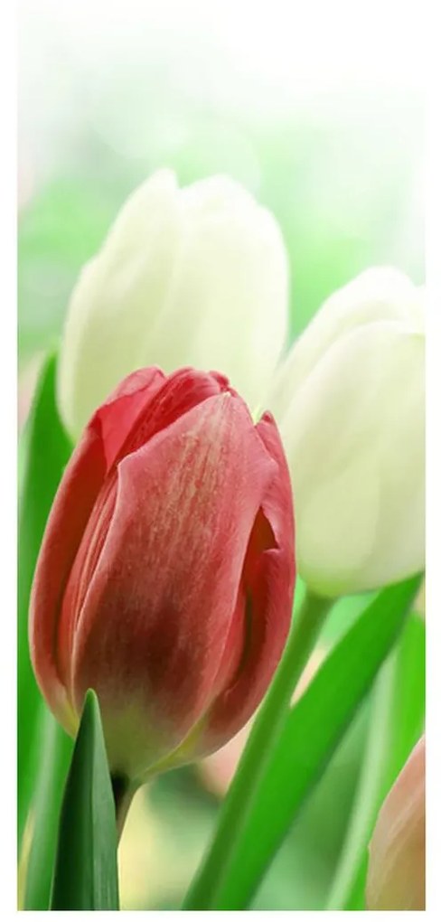 Fotojaluzele R012181R57150 (57x150 cm)