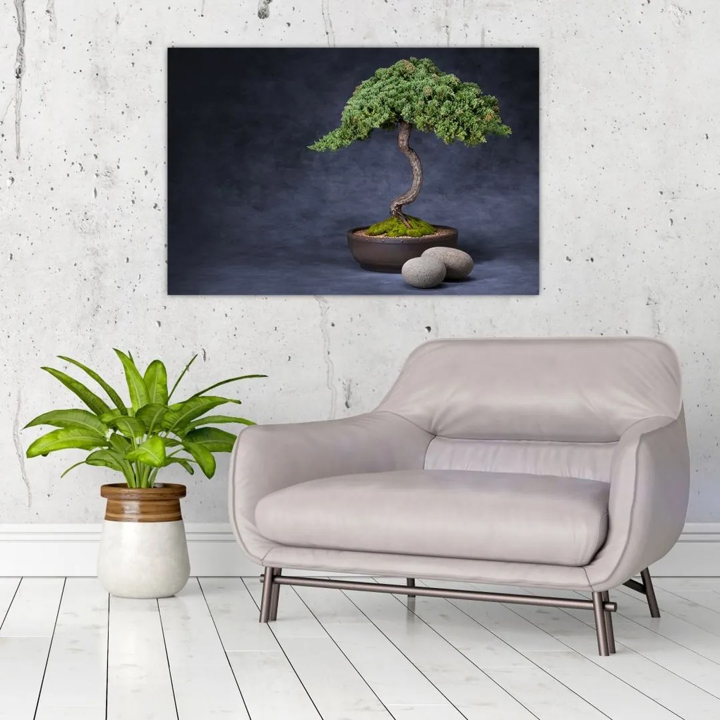 Tablou - Bonsai (90x60 cm)