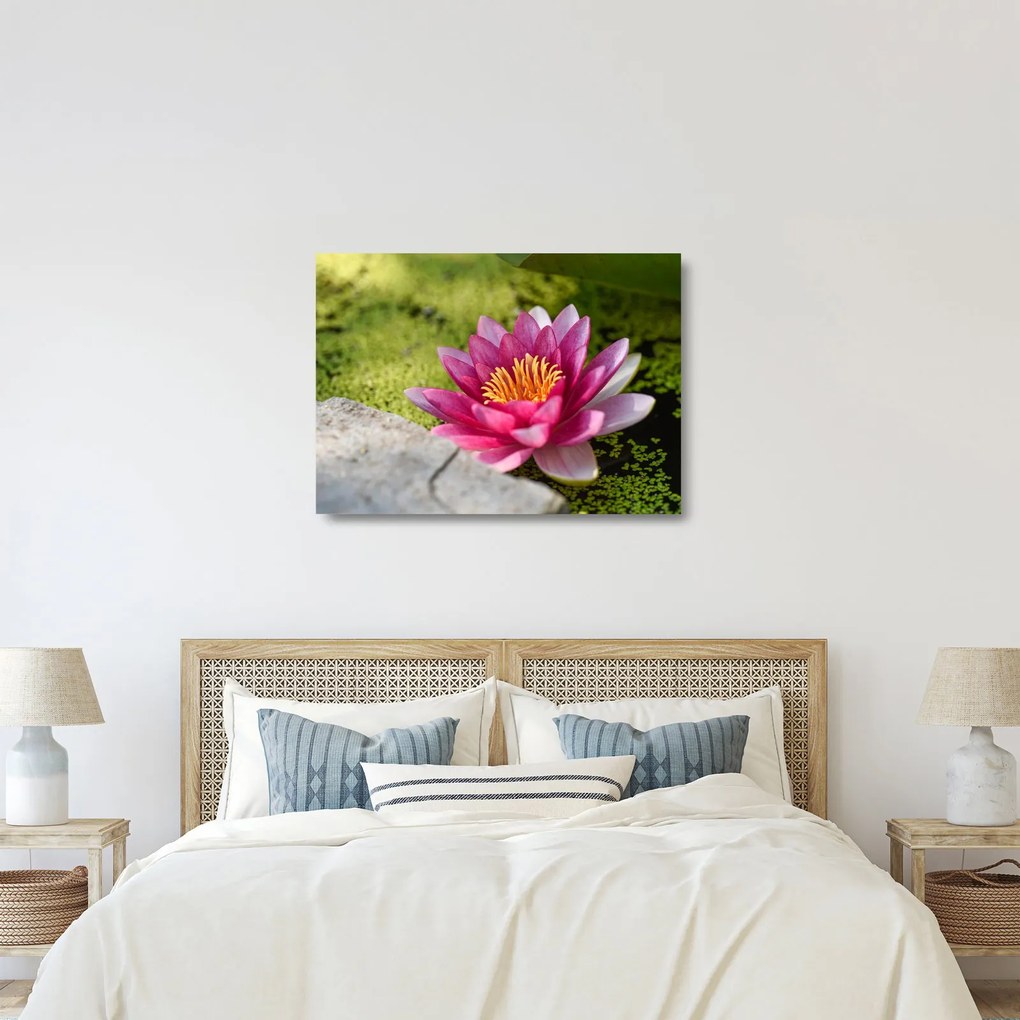 Tablou pe sticlă - Lotus (70x50 cm)