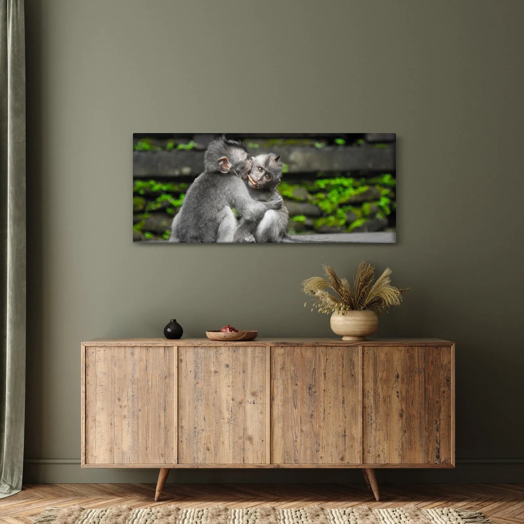 Tablou - maimuțica (120x50 cm)