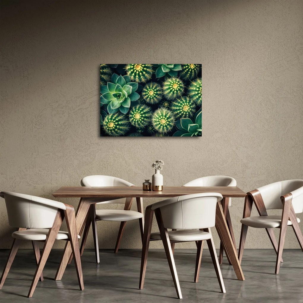 Tablou - Cactuși (70x50 cm)