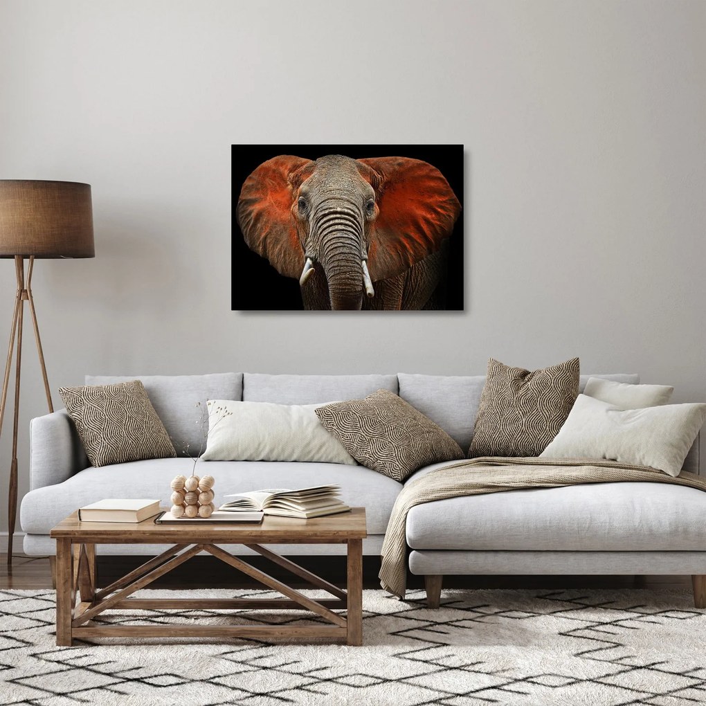 Tablou pe sticlă - Elefanți cu Tsavo (70x50 cm)