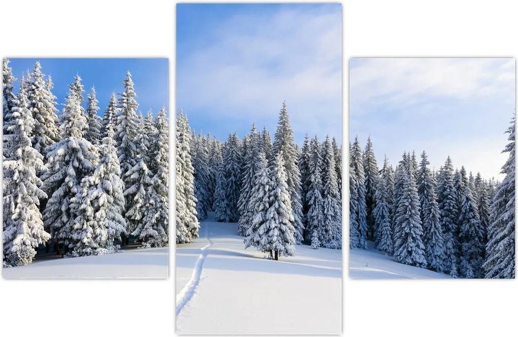Tablou - Iarna in pădure (90x60 cm)