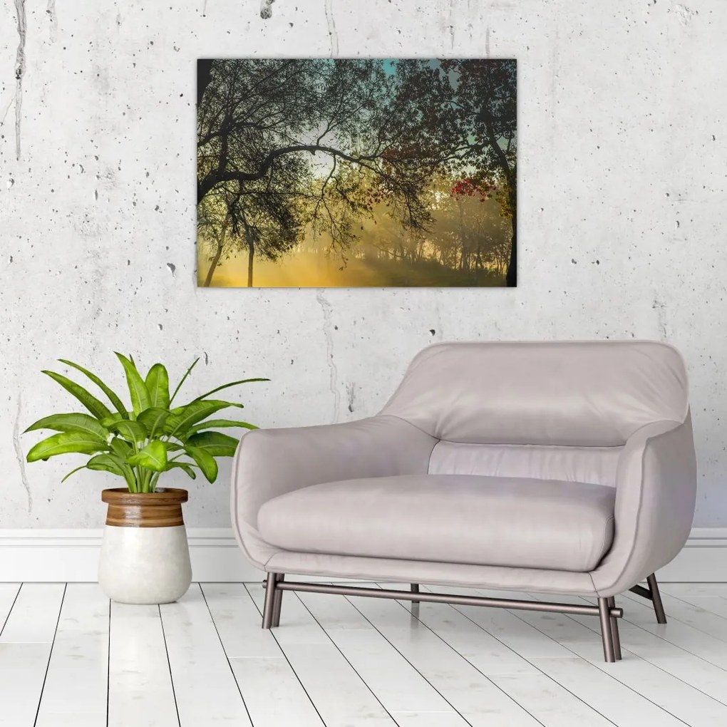 Tablou pe sticlă cu răsărit de soare (70x50 cm)