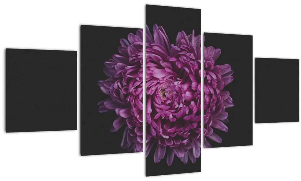 Tablou cu floare violetă (125x70 cm), în 40 de alte dimensiuni noi