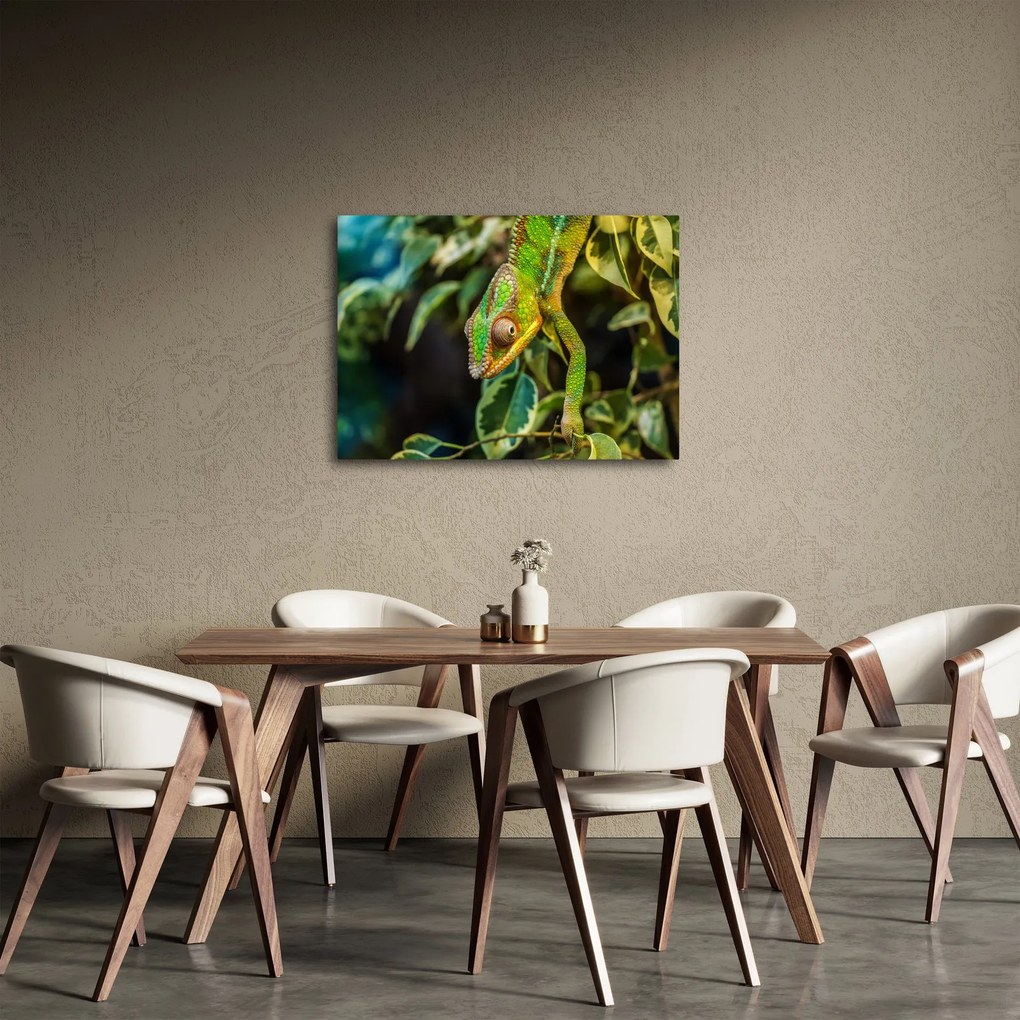 Tablou cu cameleon (70x50 cm)