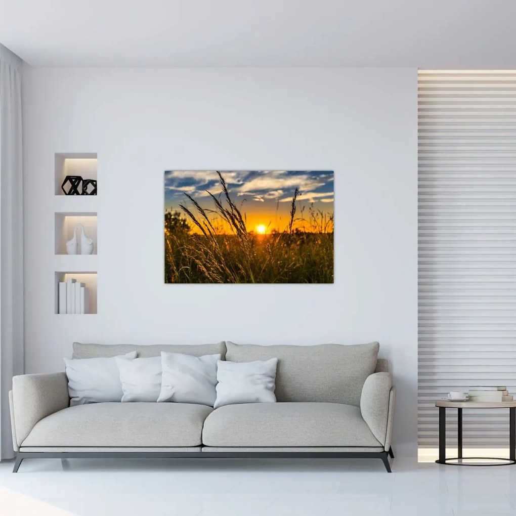 Tablou cu câmp în apus de soare (90x60 cm)
