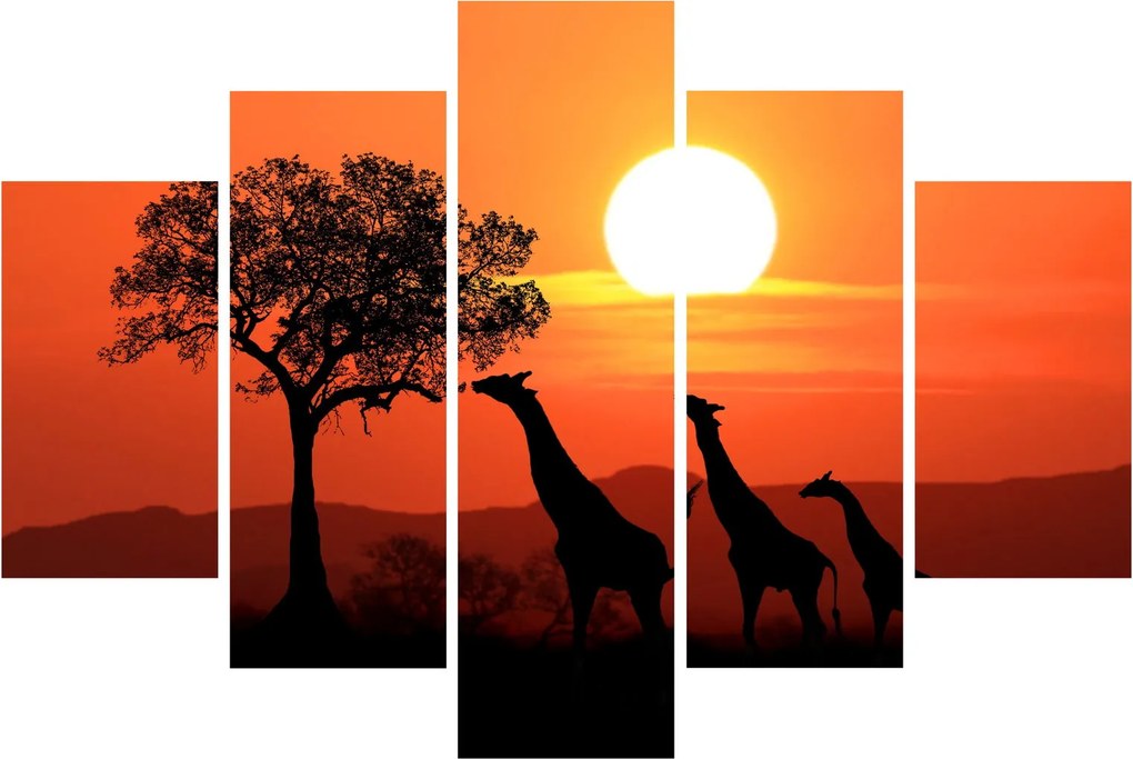 Tablou cu girafe în apus de soare (150x105 cm)