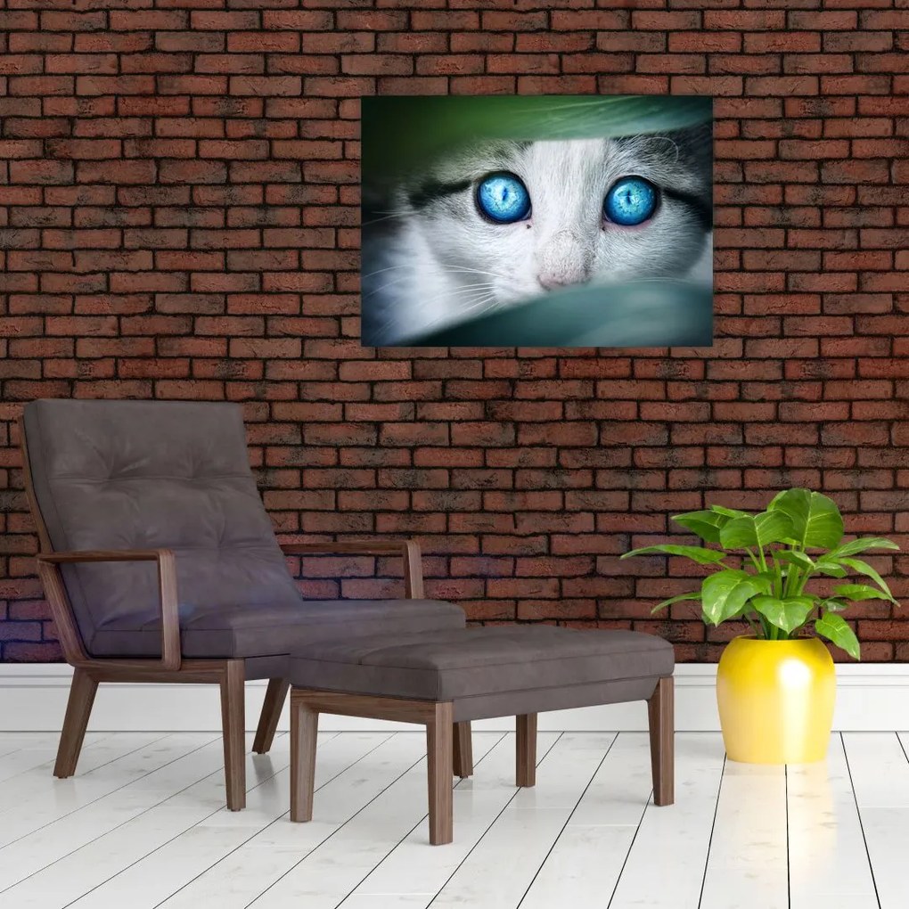 Tablou pe sticlă cu pisica (70x50 cm)