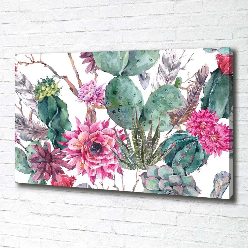 Tablou pe pânză canvas Cactuși