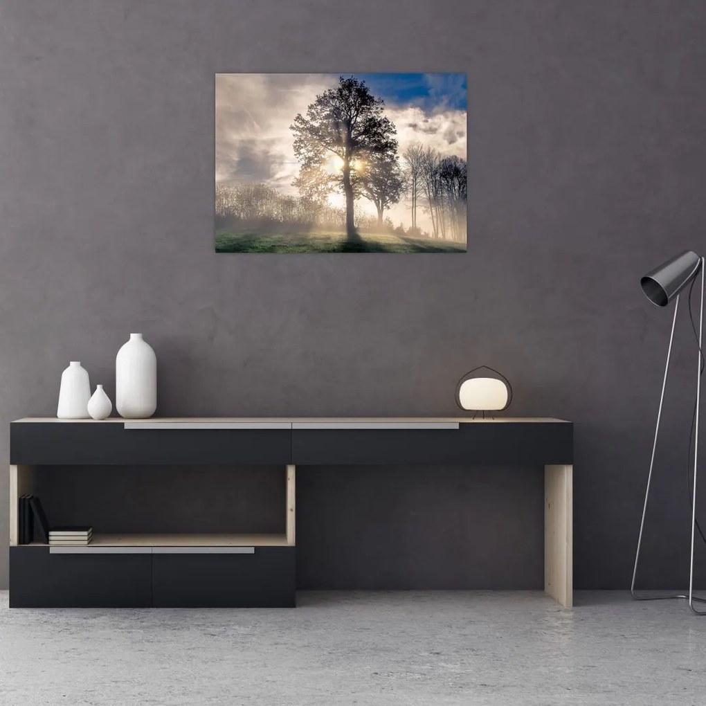 Tablou cu copac în ceață (70x50 cm)