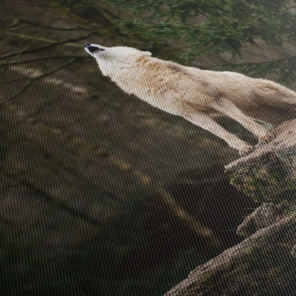 Tablou - Urletul lupului (120x50 cm)