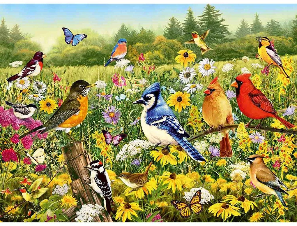 PUZZLE PASARELE COLORATE, 500 PIESE - RAVENSBURGER (RVSPA16988)