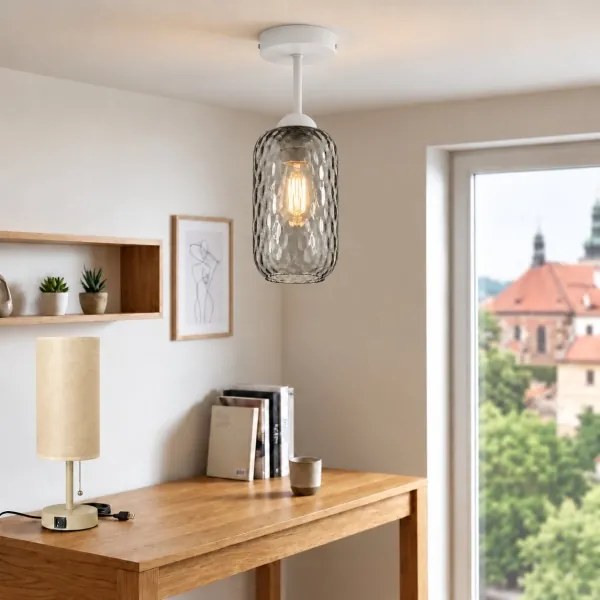 BRILAGI - Lustră aplicată LED R GLASS 1xE27/60W/230V Ø 14 cm alb/gri fumuriu