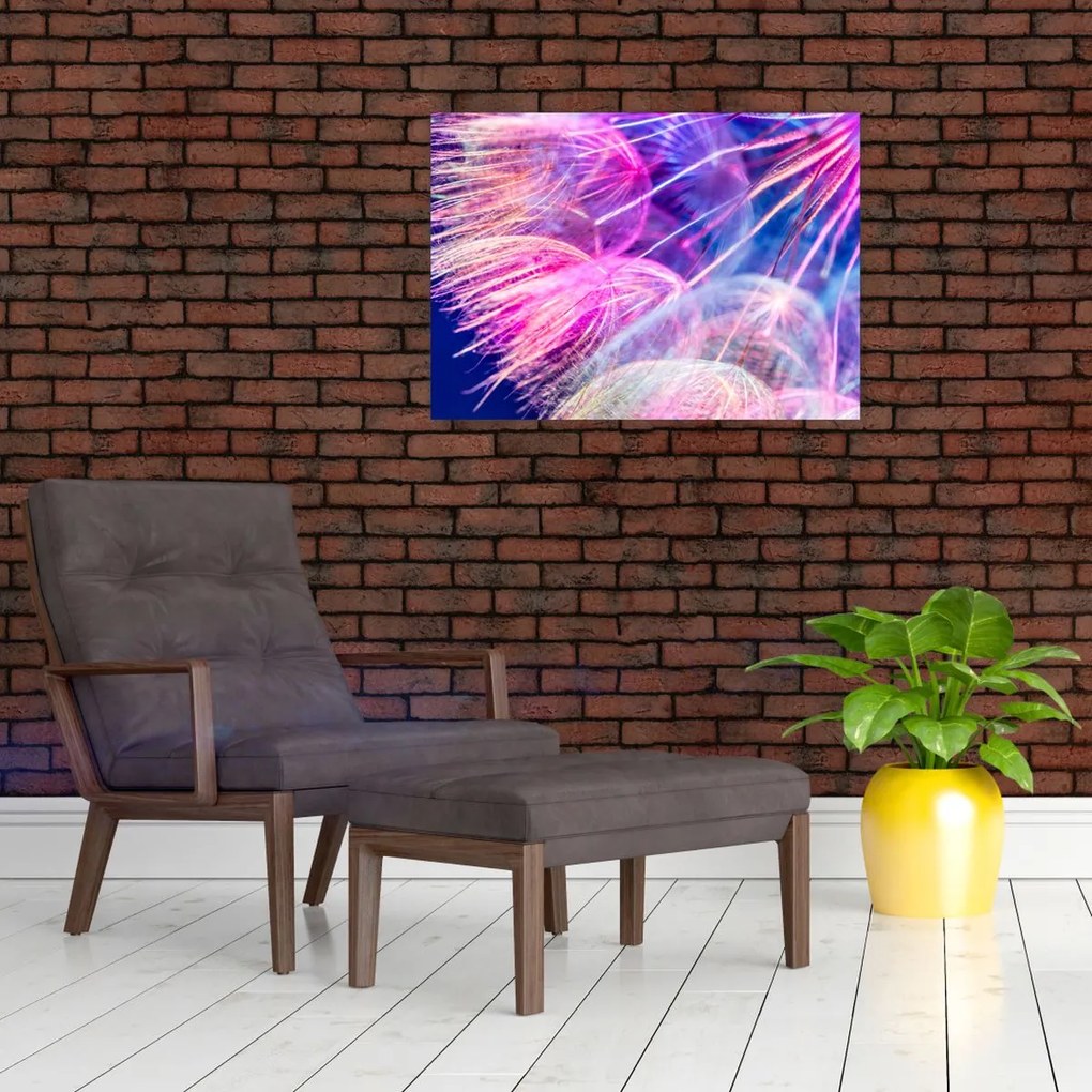 Tablou - Macro (70x50 cm)