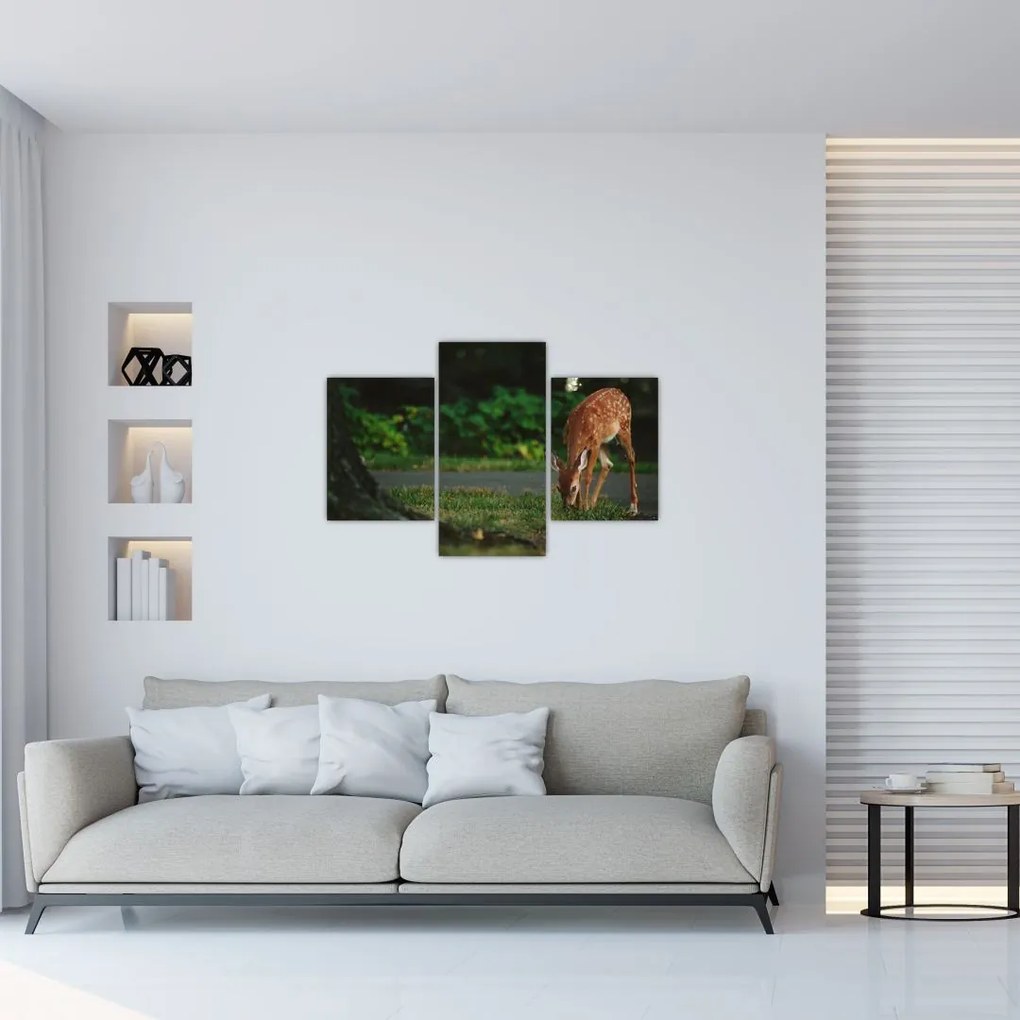 Tablou cu pui de cerb (90x60 cm)