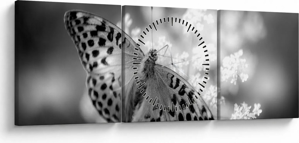Tablou - Detailu cu fluture care polenizează floare (cu ceas) (90x30 cm)