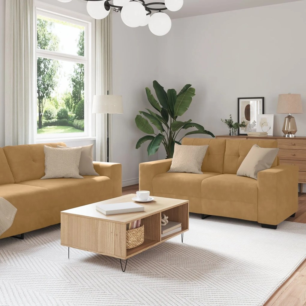 Set canapea vidaXL 2 piese cu perne din catifea maro