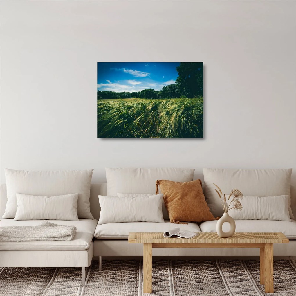 Tablou pe sticlă cu linca și pădure (70x50 cm)