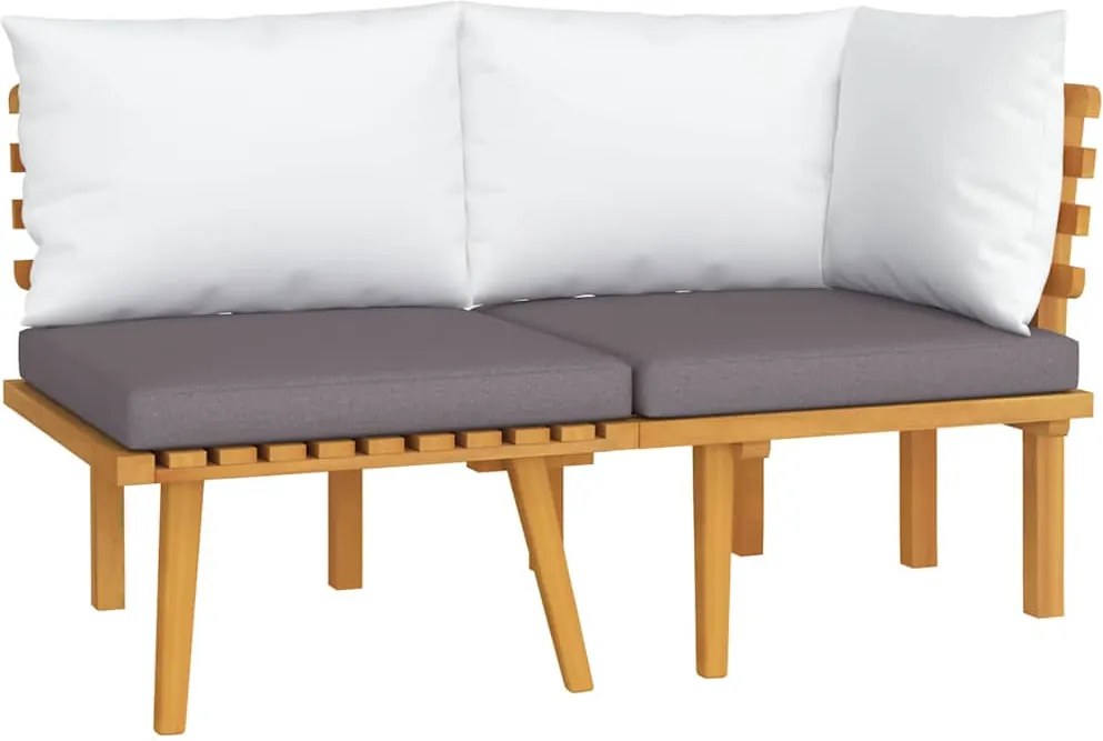 vidaXL Set mobilier de grădină cu perne, 2 piese, lemn masiv de acacia