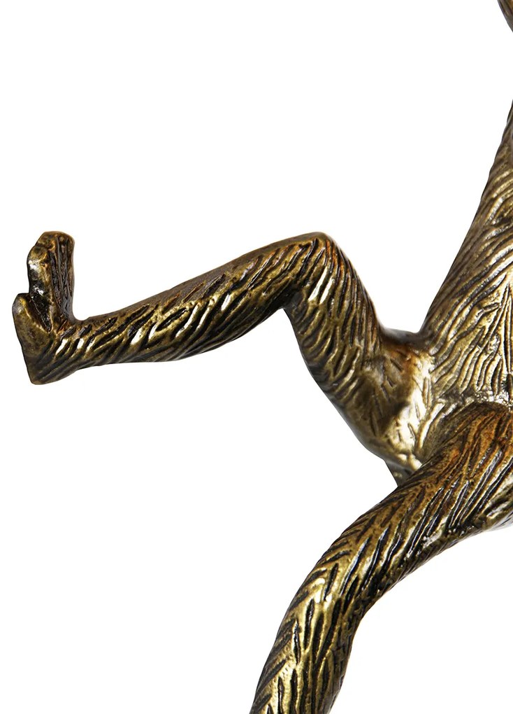 Aplică de perete Maimuță aurie - Animal Monkey