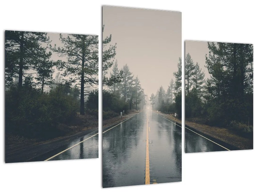 Tablou - Drum în ploaie (90x60 cm)