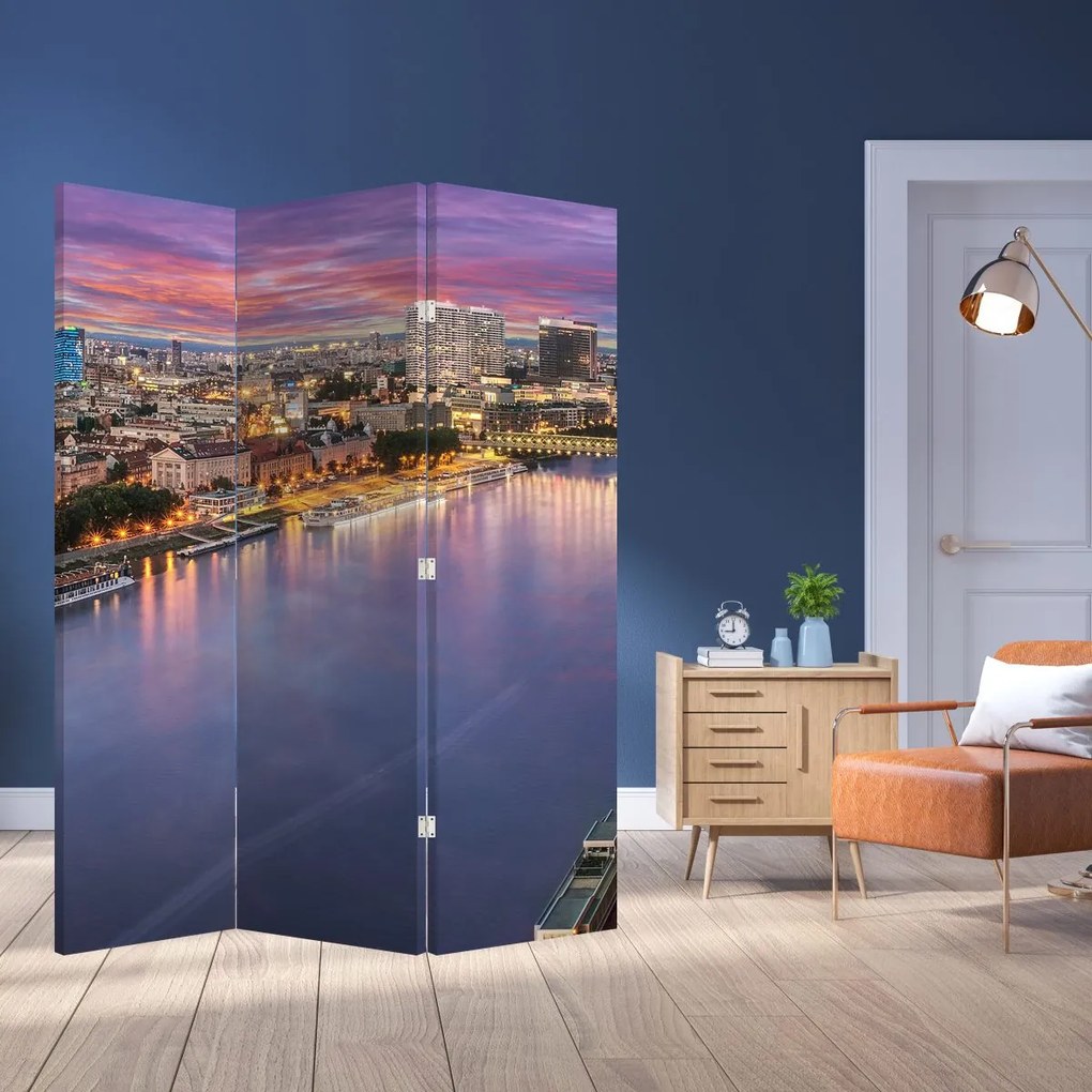 Paravan - Orașul Bratislava - râu (126x170 cm)