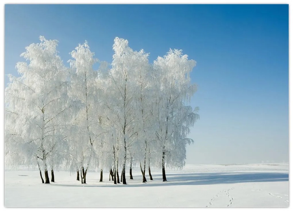 Tablou pe sticlă - Peisaj înzăpezit (70x50 cm)