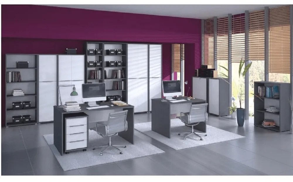 Dulap cu lacăt Hamila NEW TYP 09 (grafit + alb). 1028766