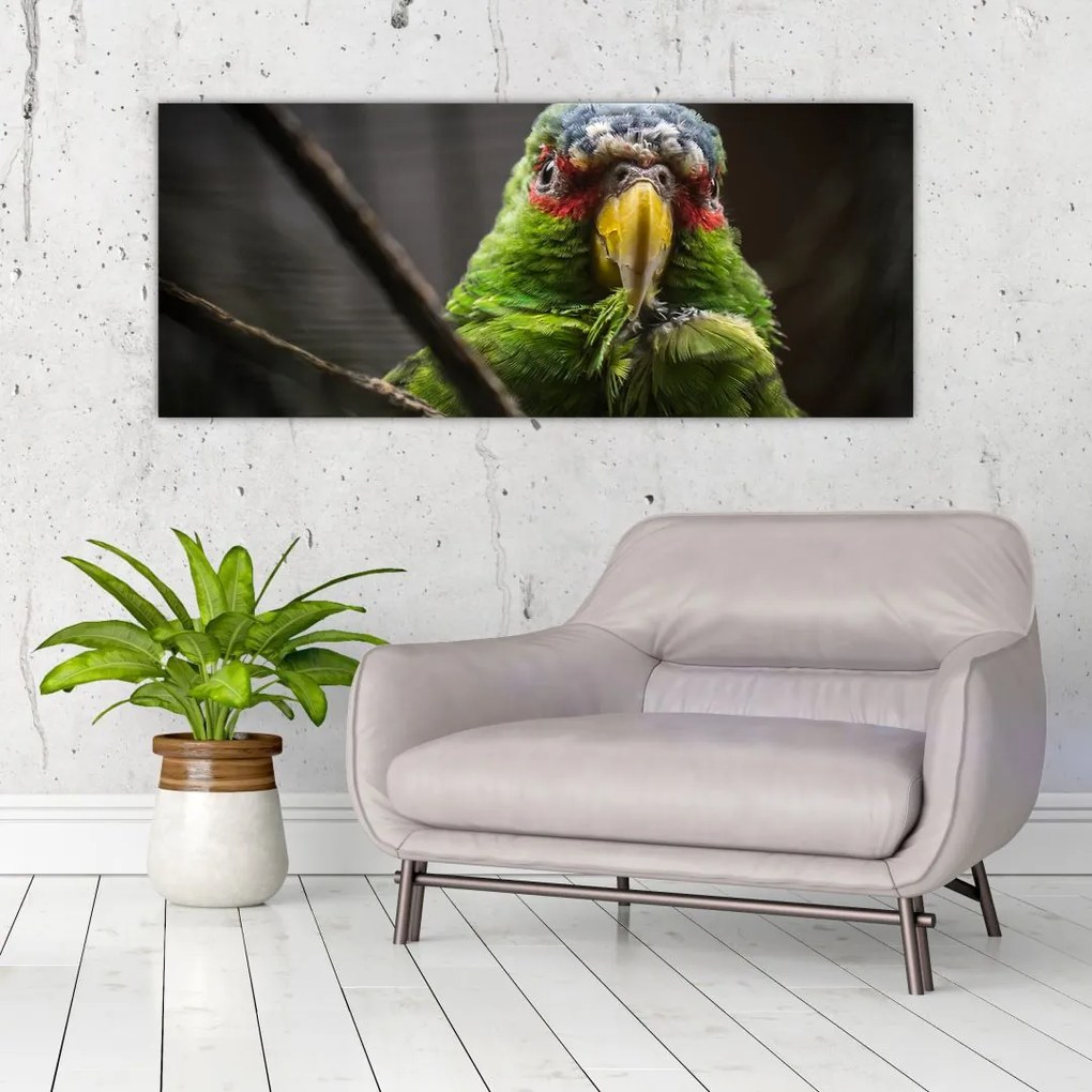 Tablou cu papagal (120x50 cm)