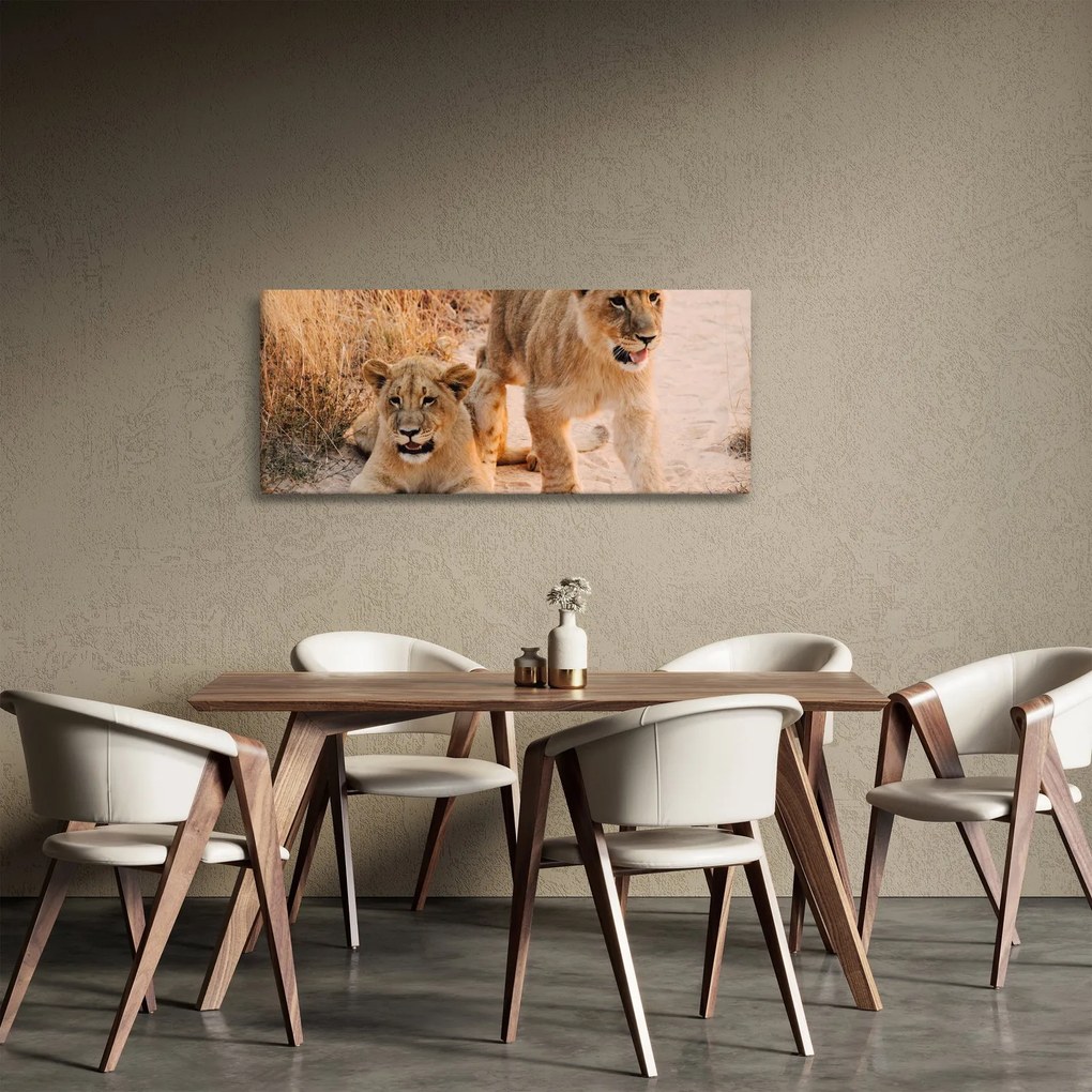 Tablou cu pui de leu (120x50 cm)