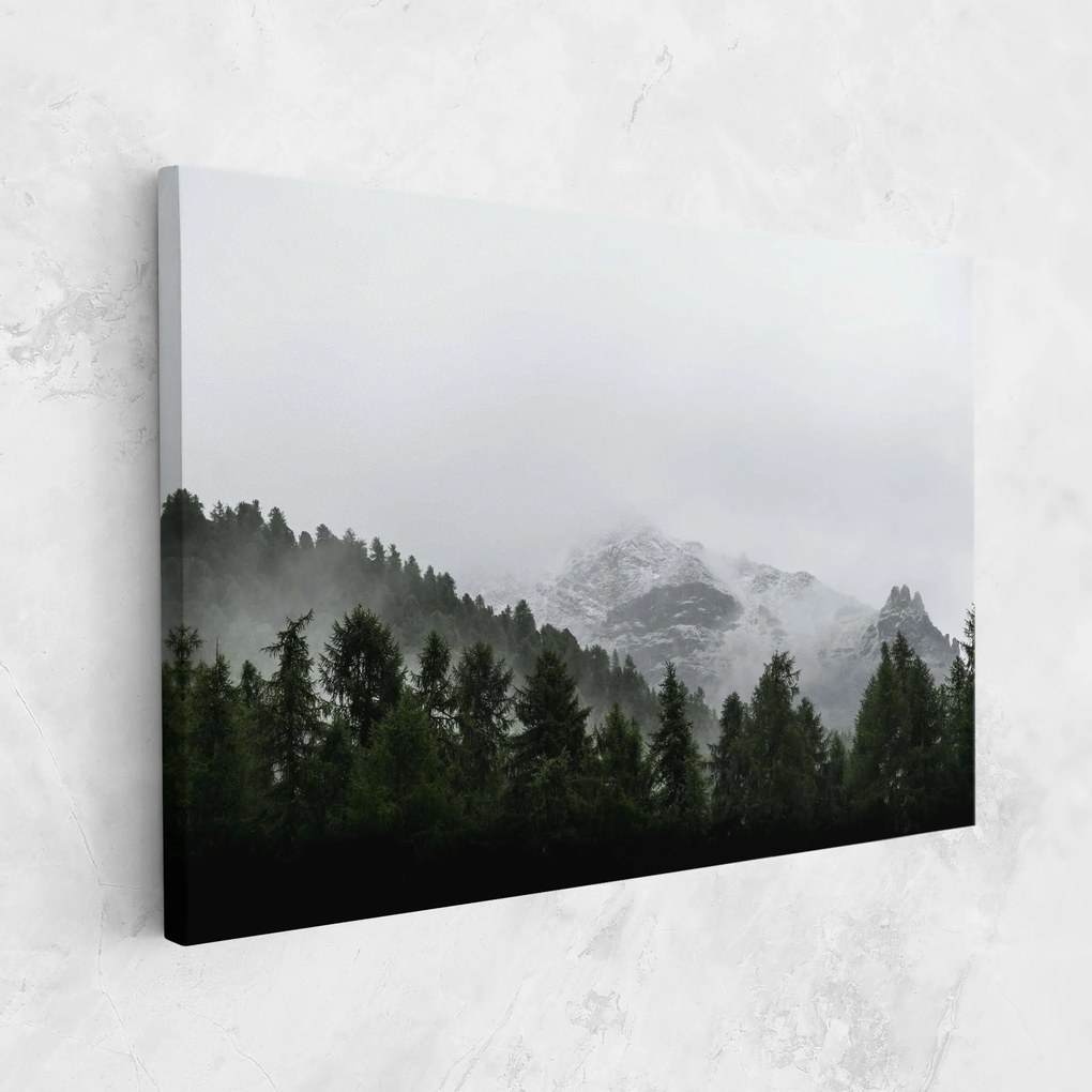 Tablou Canvas, 30x40cm, Dormitor si Living, Peisaje, Paduri, Foggy Mountain Forest