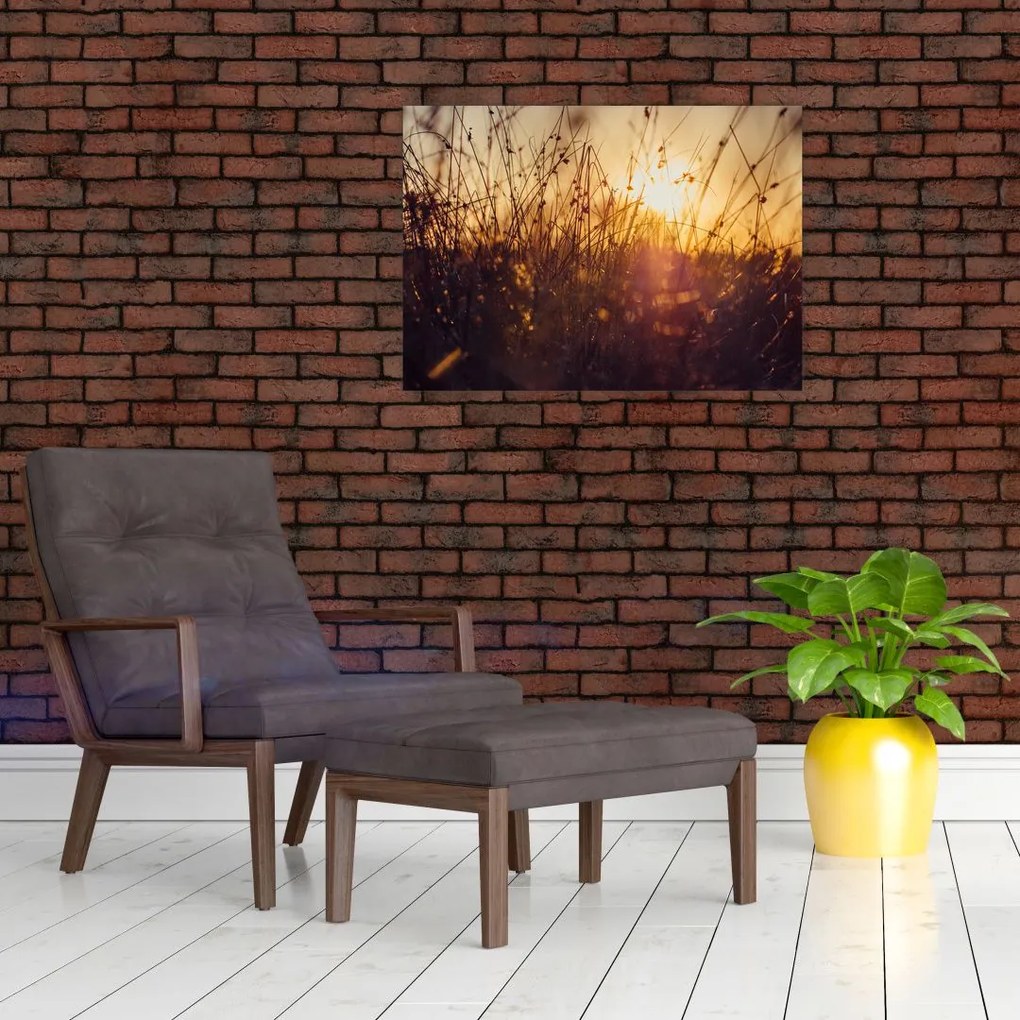 Tablou - Câmp la apus de soare (70x50 cm)