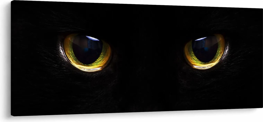 Tablou - Ochi de pisică (120x50 cm)
