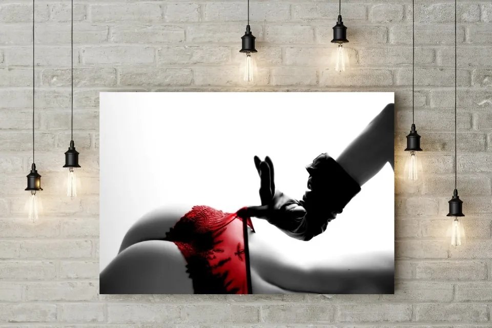 Tablou canvas Red Panties 120x80 cm