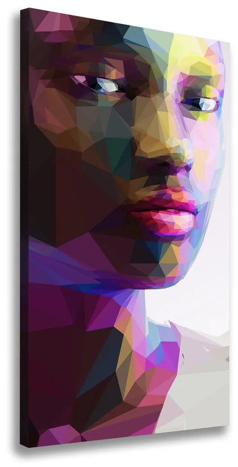 Pictură pe pânză Abstracție femeie