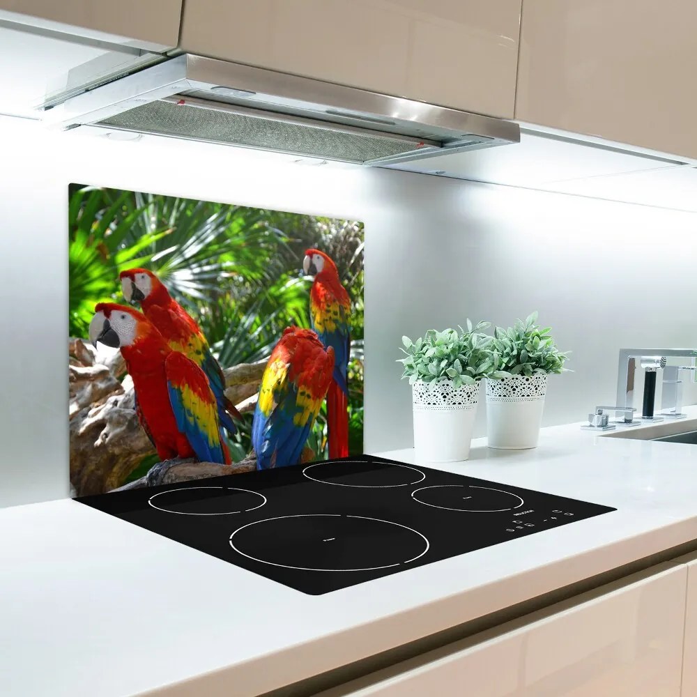 Tocator din sticla macaws papagali