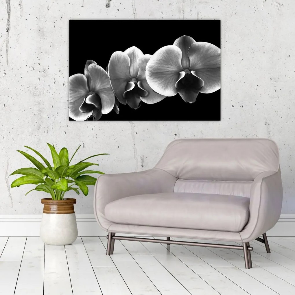 Tablou floare de orhidee (90x60 cm)