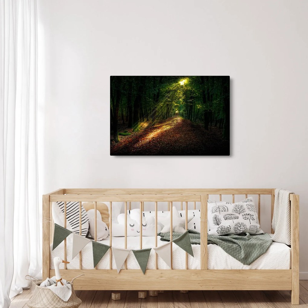 Tablou cu poteca prin pădure (90x60 cm)