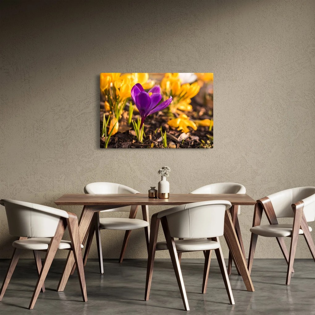 Tablou cu floare violetă (90x60 cm)
