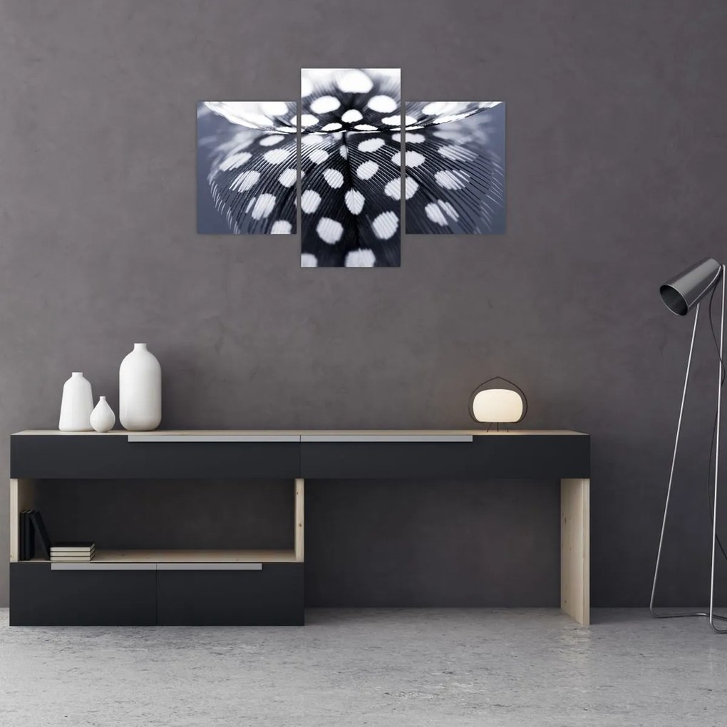 Tablou - Pană (90x60 cm)