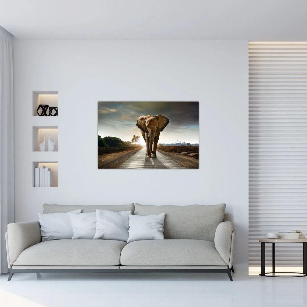 Tablou cu elefant (90x60 cm)