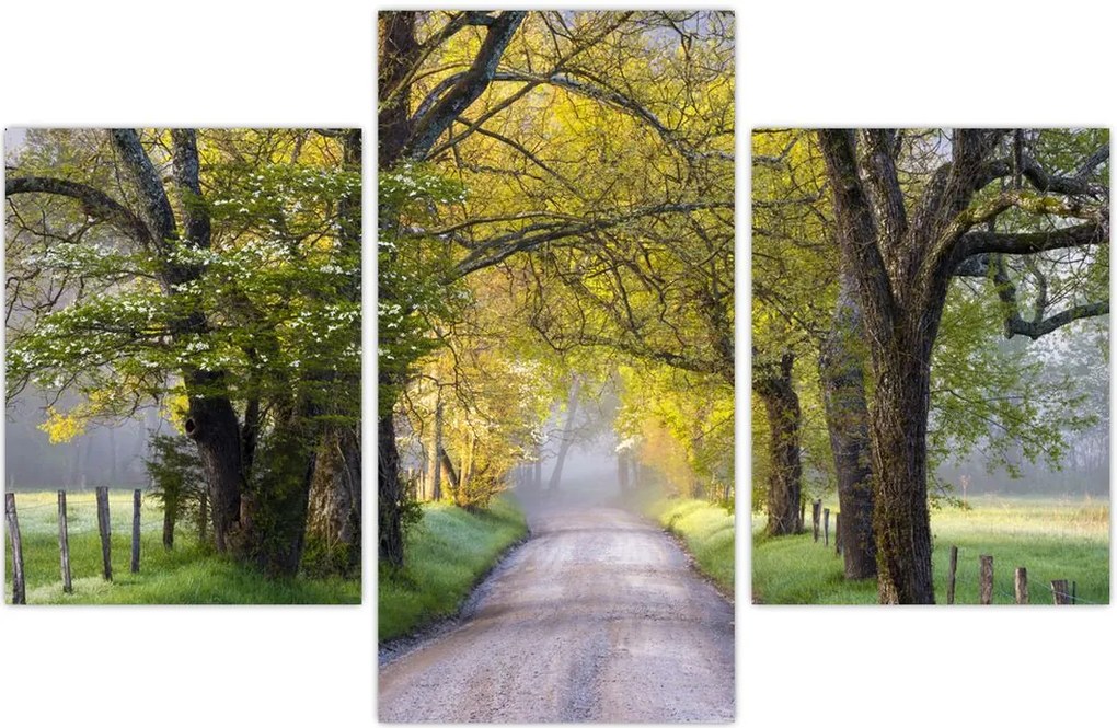 Tablou - Smoky Mountains, Gatlinburg, SUA (90x60 cm)