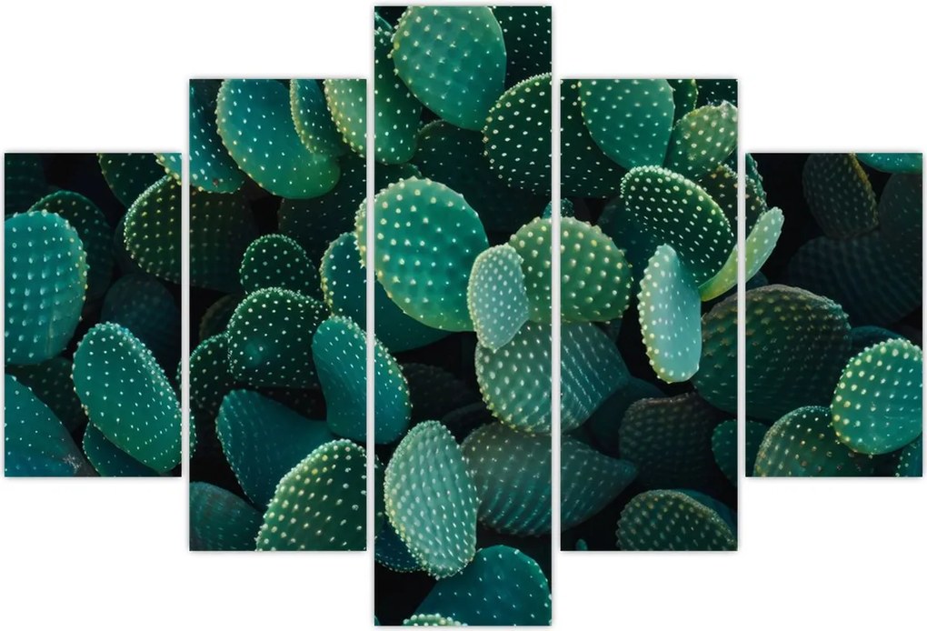 Tablou - Opuntia (150x105 cm)