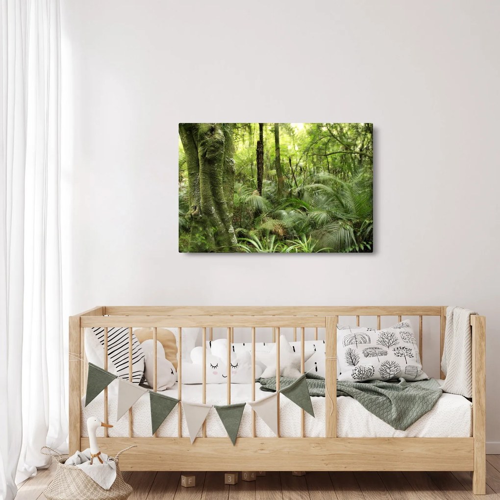 Tablou - Pădure tropicală (90x60 cm)
