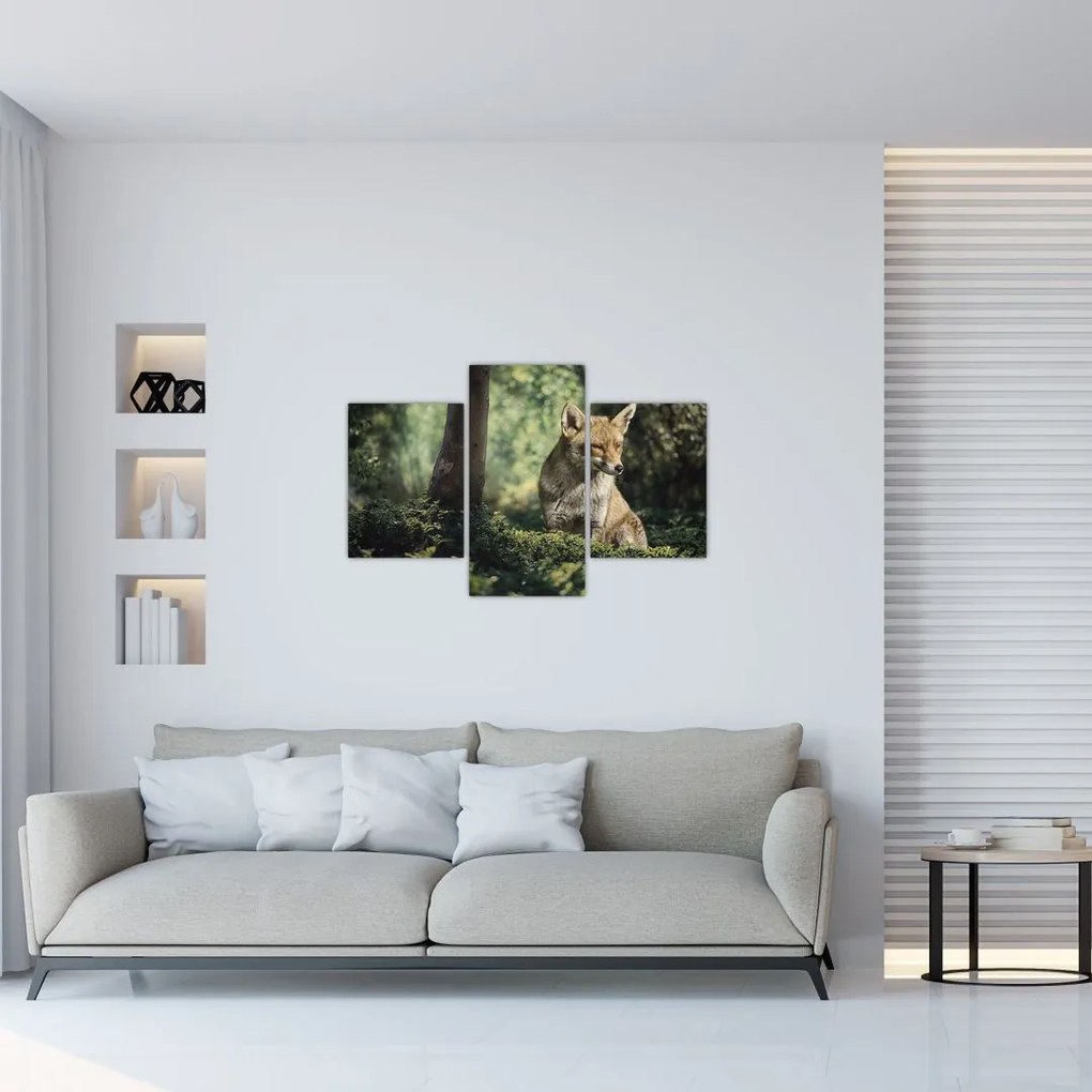 Tablou cu vulpe (90x60 cm)