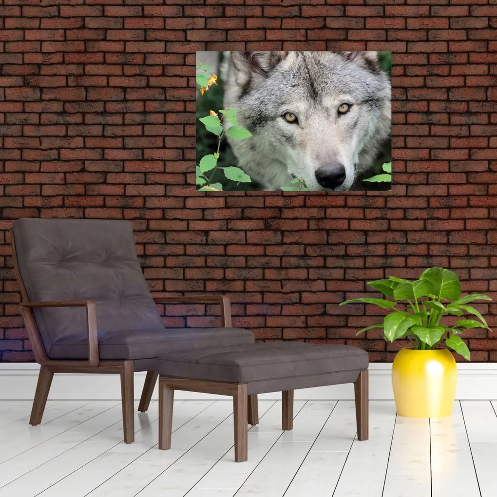 Tablou - Portret de lup (70x50 cm)