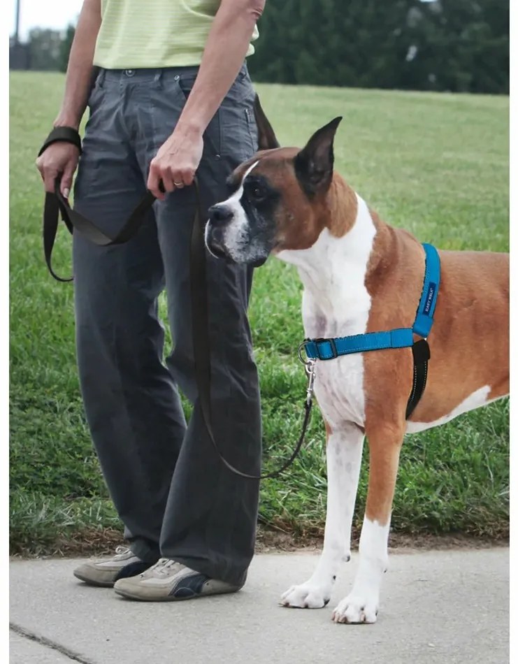 PetSafe Harness EasyWalk Deluxe albastru mărimea M