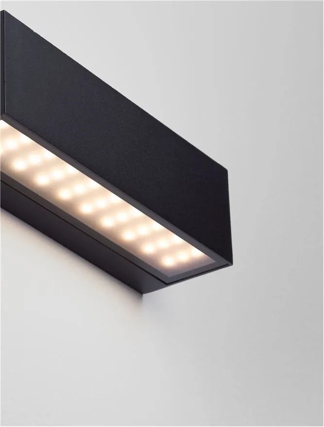 Aplica LED iluminat exterior ambiental IP54 FLORA negru